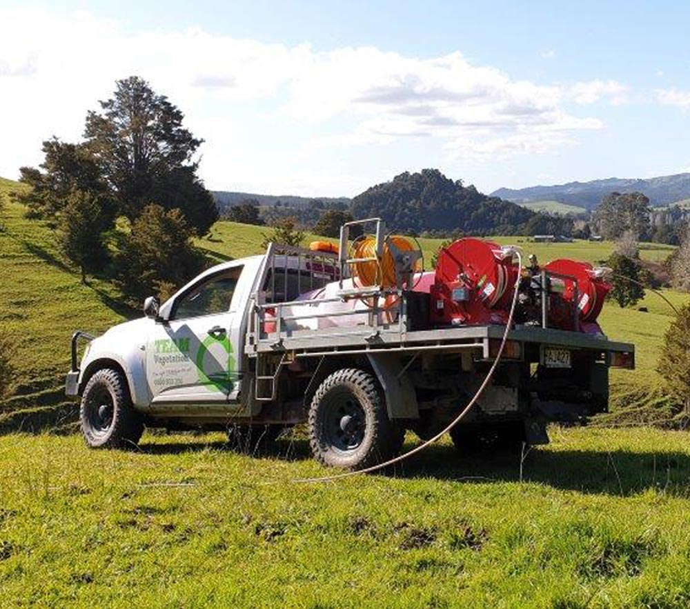 The Control of Gorse in Northland